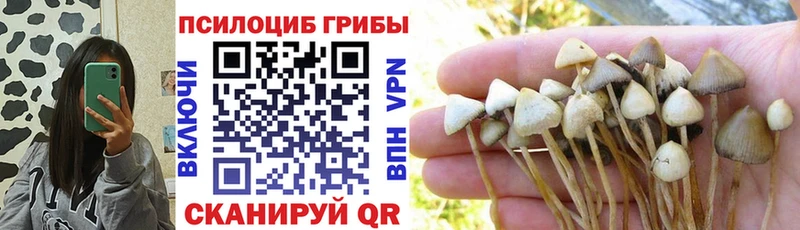 blacksprut онион Энем Галлюциногенные грибы мицелий